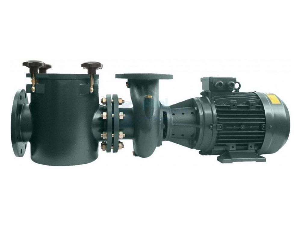 Насос "FDN-21" чугунный с префильтром 158 м3/ч, H=10, 380 B, 7,5 кВт