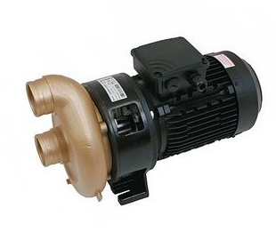 Насос бронзовый 2,2 кВт 46 м3/ч Jet Swim 1200