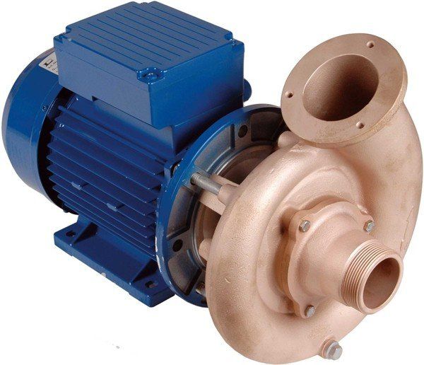 Насос Hugo Lahme Fitstar 2,6 Квт бронза