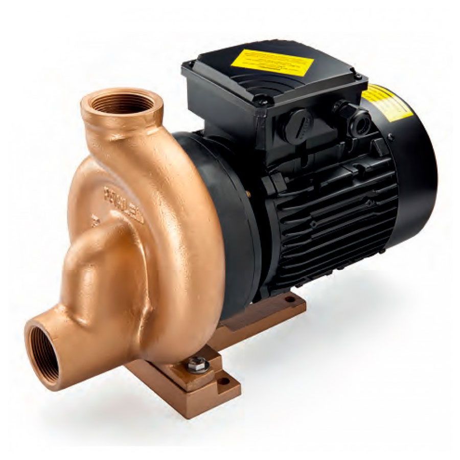 Бронзовый насос без префильтра 16,8 м3/ч, 1,1 кВт, 1 фаза