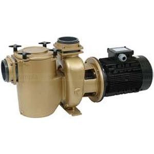 Бронзовый насос 7,5кВт с префильтром, 3 фазы, 400/690