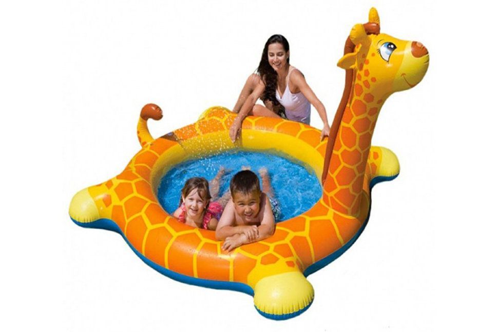 Бассейн Жираф