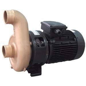 PAHLEN насос бронзовый 2.2кВт, 54м3/ч НОВЫЙ